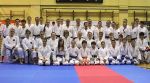 7 Międzynarodowe Seminarium Karate